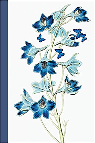 Blue and white journal notebook with blue flowers and blue butterflies.