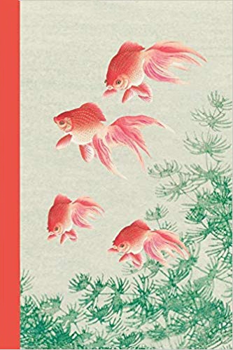 Journal cover - orange koi fish swimming with green plants.