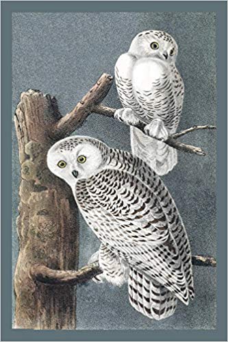 Blue grey journal cover with image of two white owls sitting brown branches.