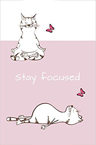 Pink and white journal notebook with two cartoon cats in yoga poses and pink butterflies on the cover. White text says stay focused.